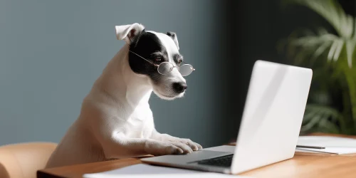 haggebroder_httpss.mj.runVXdmSLJSZnM_a_dog_typing_using_a_lapto_3a0603e7-802e-478a-8d94-28af69d9728f